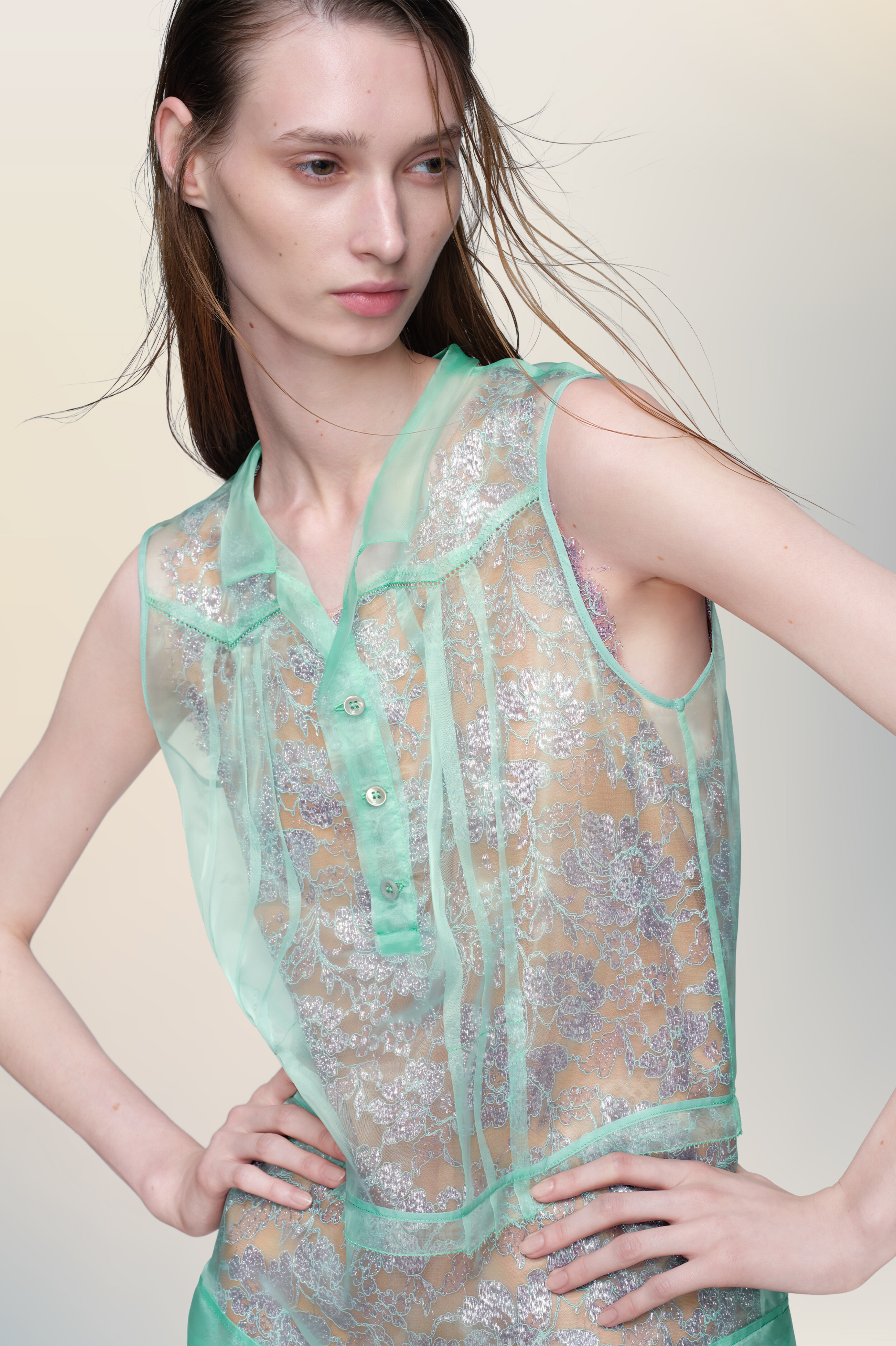 Sheer tea dress - 6