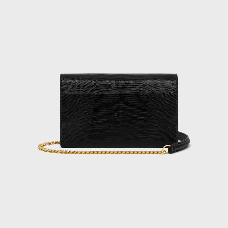 ENVELOPE WALLET ON CHAIN IN lizard 3