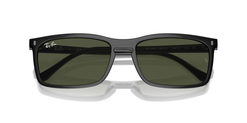 Ray-Ban RB4435 outlook