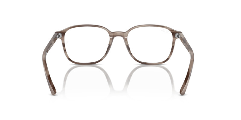 LEONARD OPTICS 6