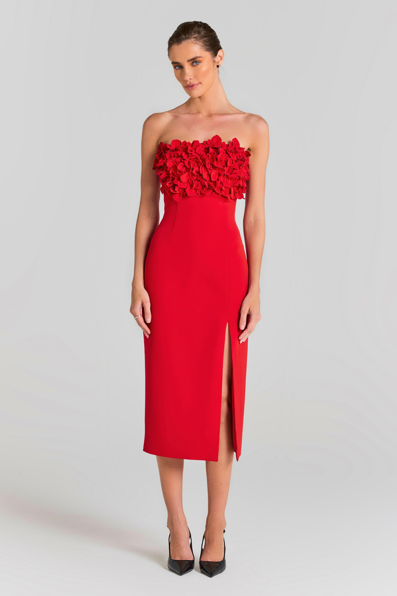 Jasmine Red Dress 1