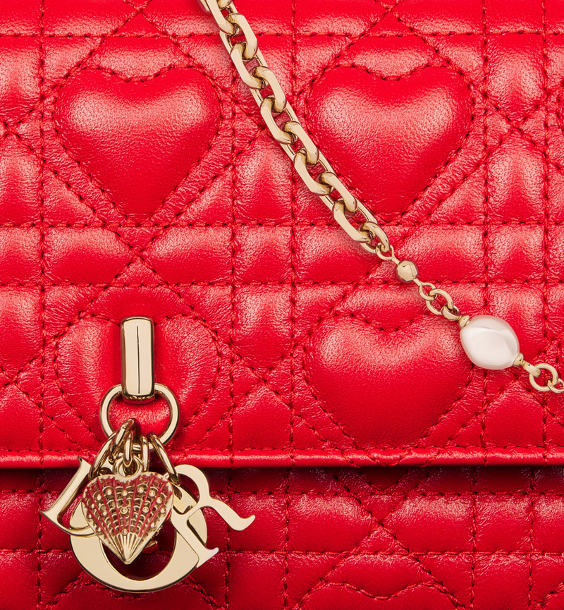 Dioramour My Dior Mini Bag 6