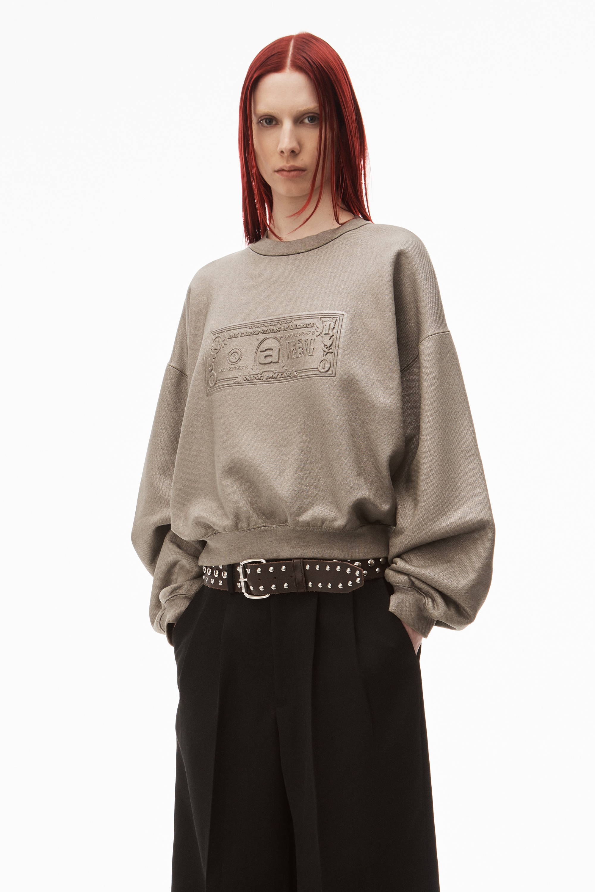DOLLAR BILL CREWNECK IN TERRY - 2