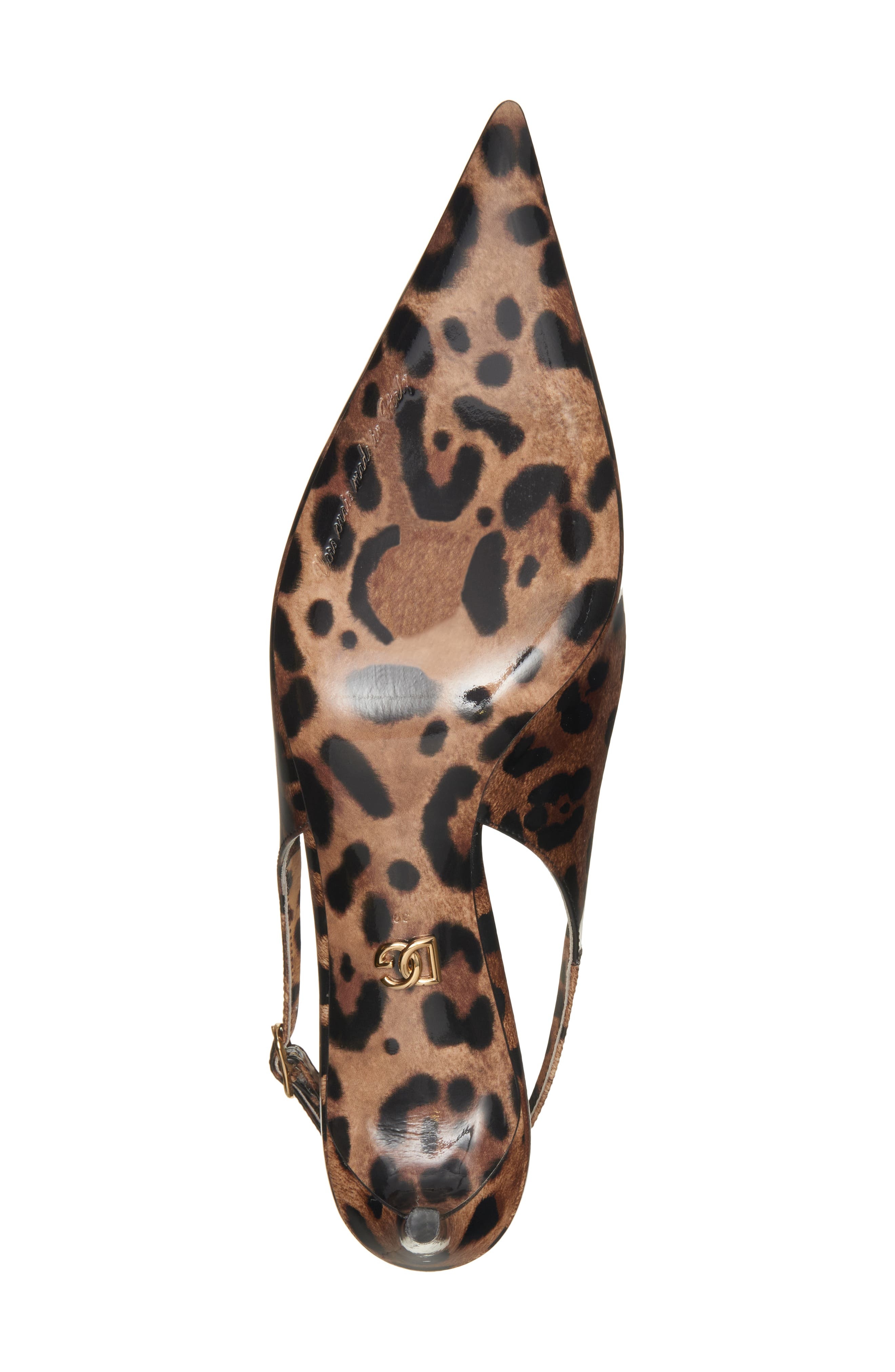 Lollo Leopard Print Pointed Toe Slingback Pump - 6