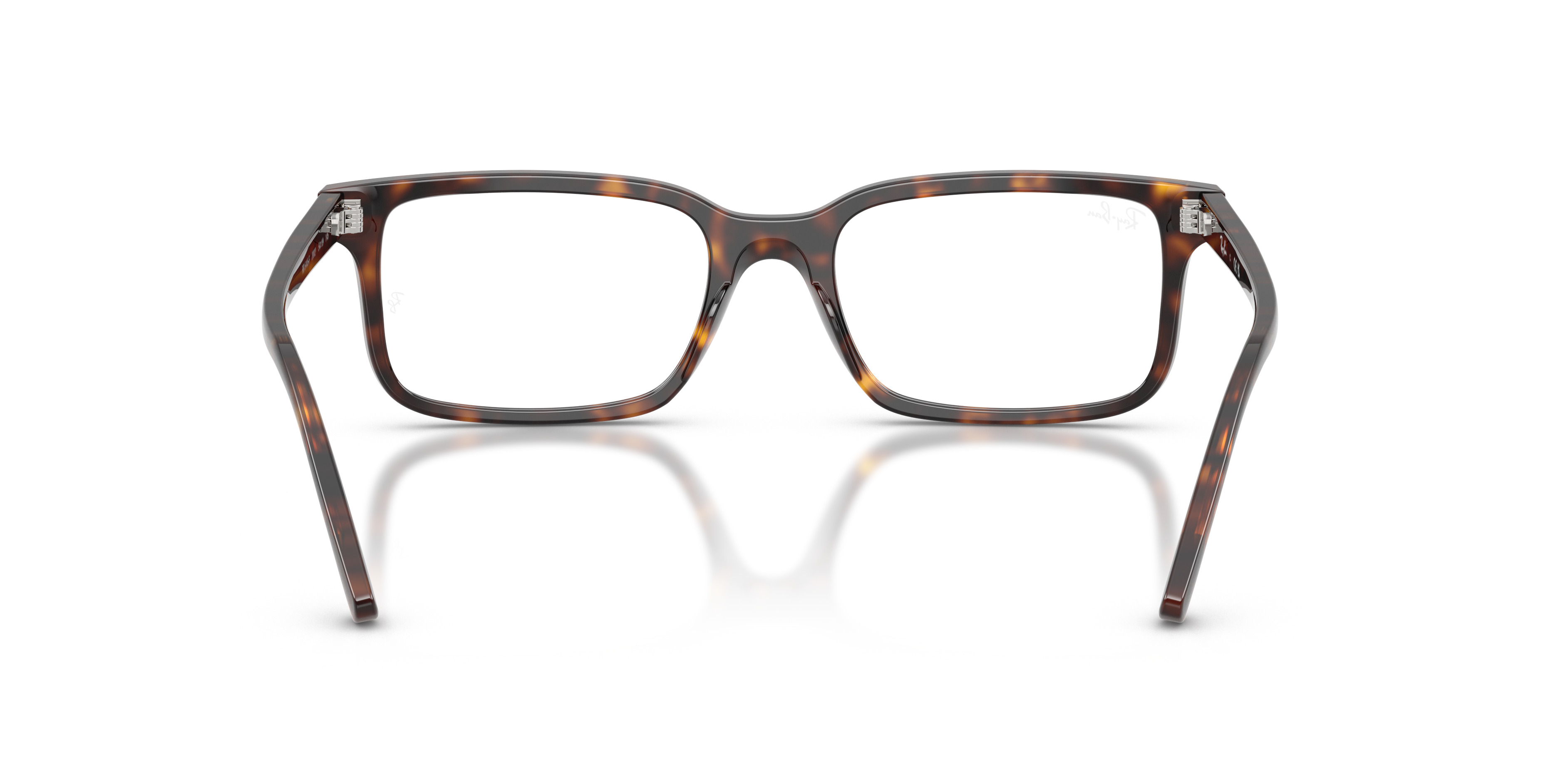 RB5445 OPTICS - 6