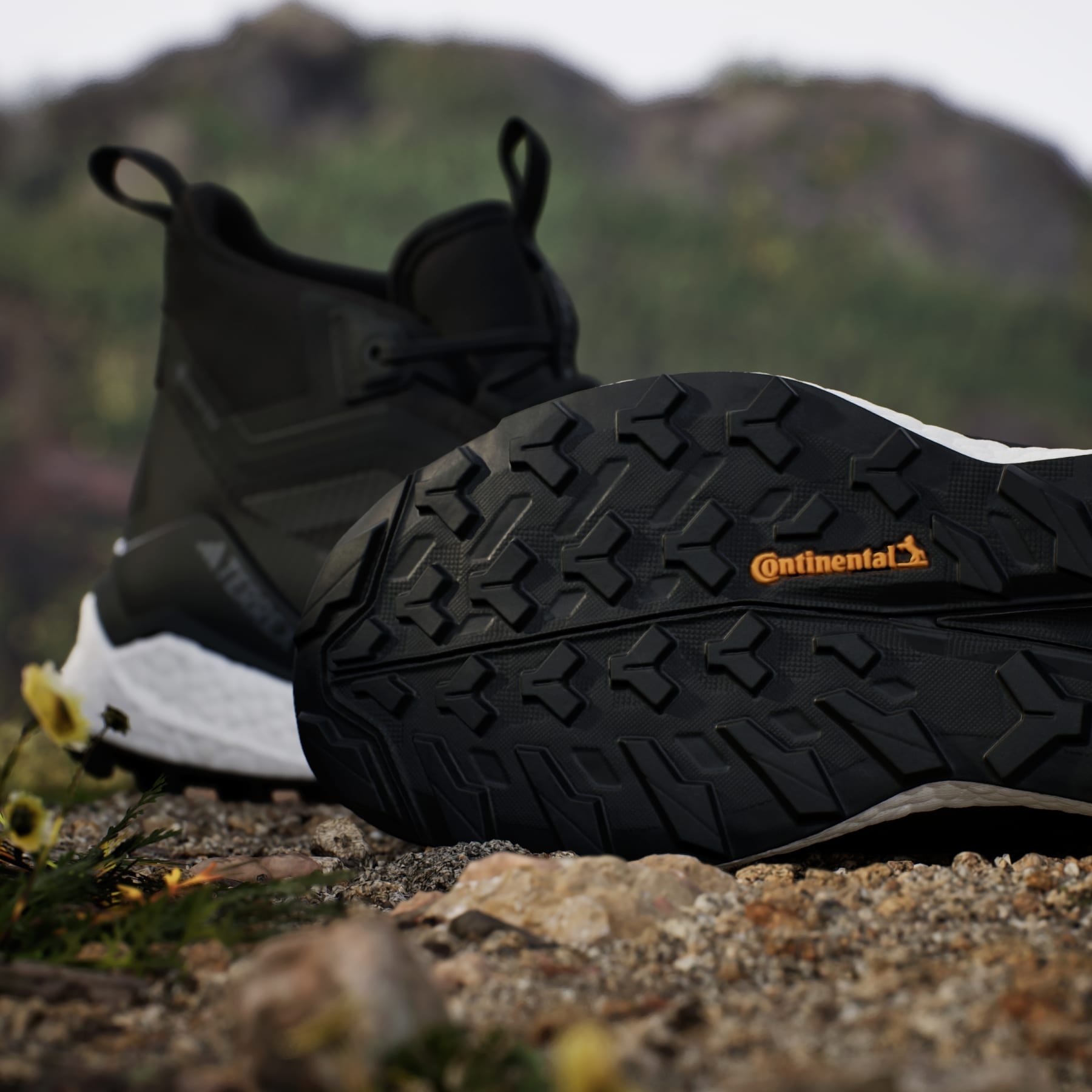 Terrex Free Hiker 2.0 Gore-Tex Hiking Shoes - 10