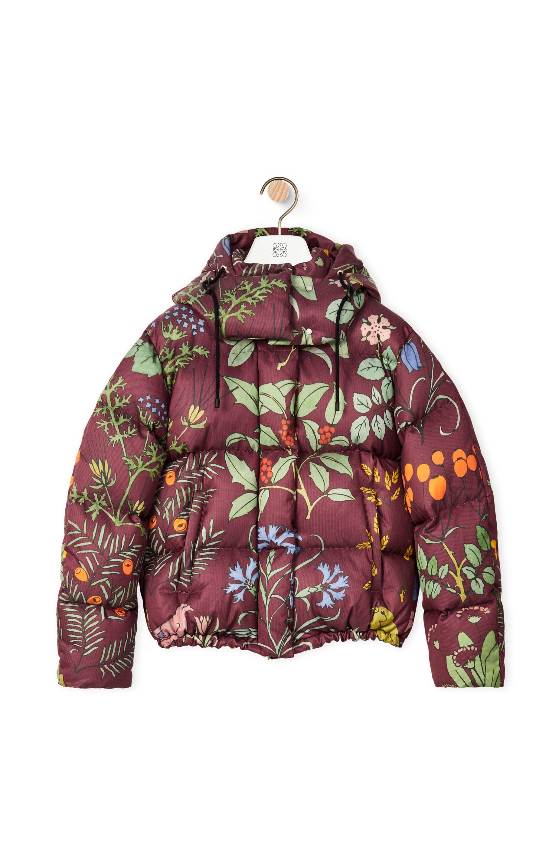 Hooded puffer jacket in cotton - 1