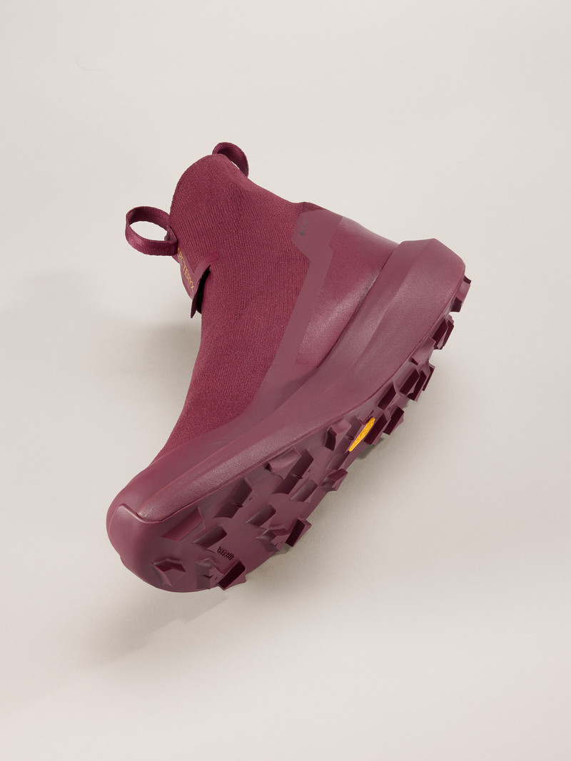 Norvan 4 Nivalis GTX Shoe 5