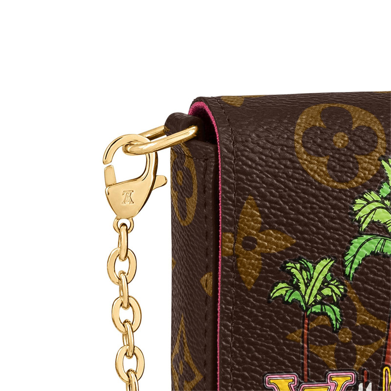 Louis Vuitton Félicie Pochette outlook