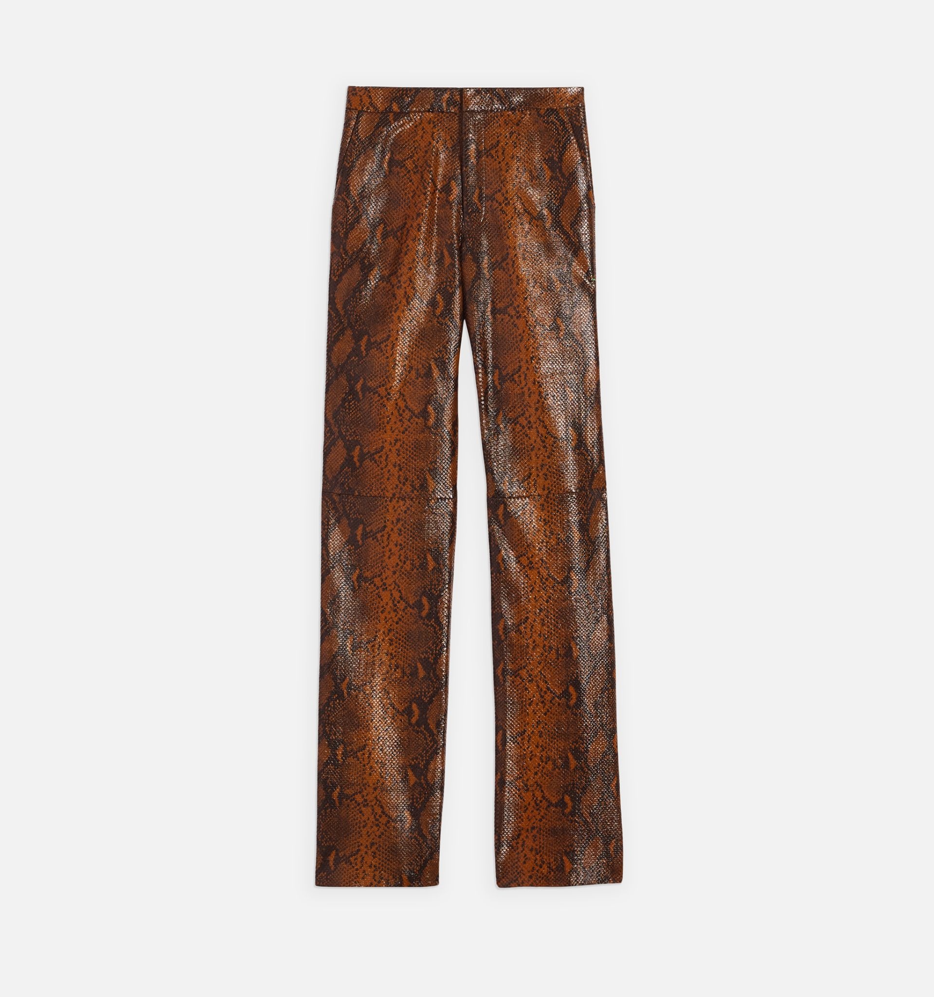 Leather Pant - 2