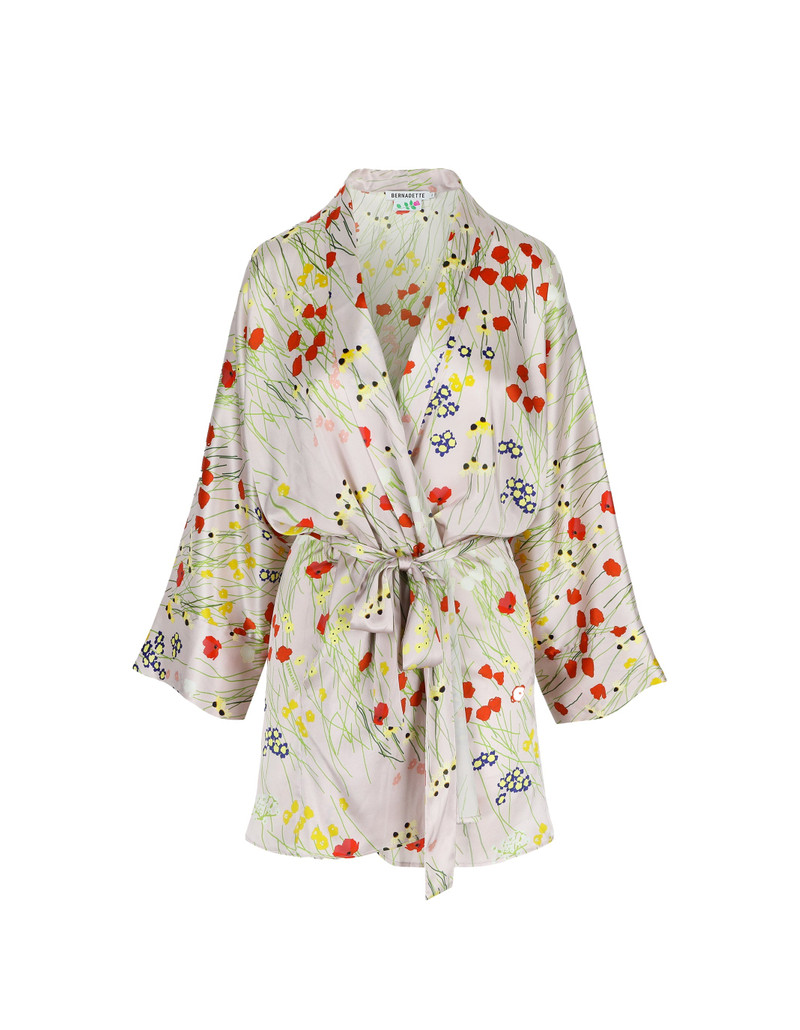 Short Dress Peignoir 1