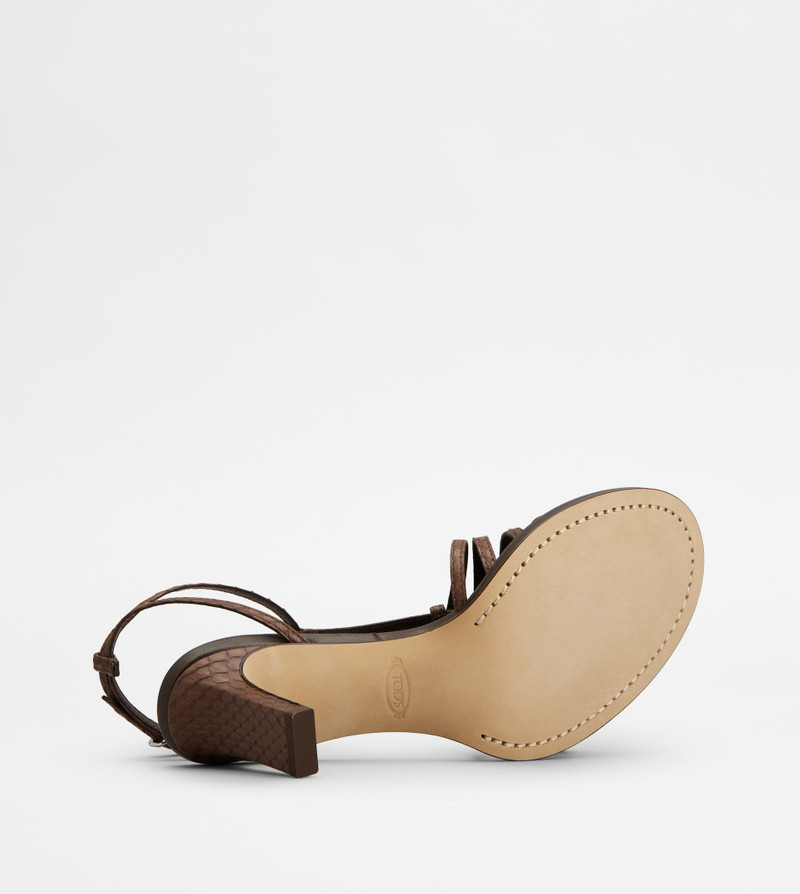 SANDALS IN REPTILE - BROWN 4