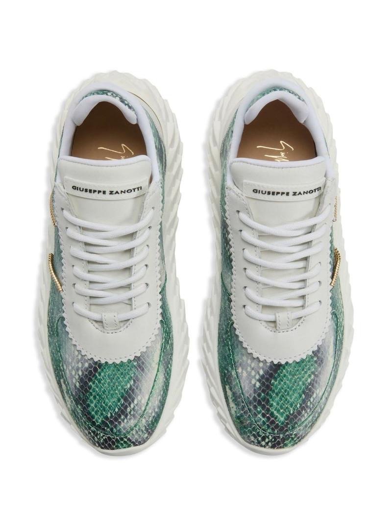 Urchin trainers 4