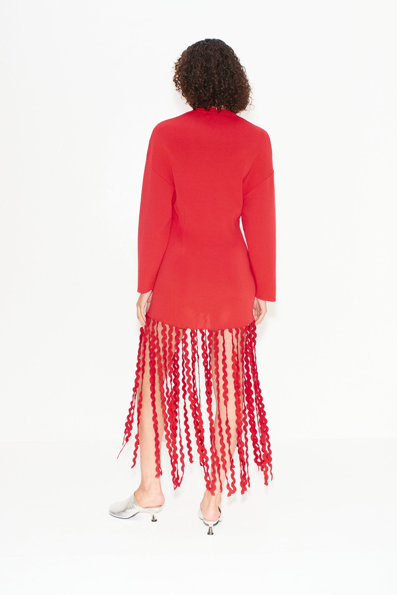 Wallis Knit Fringe Dress in Cherry Red 5