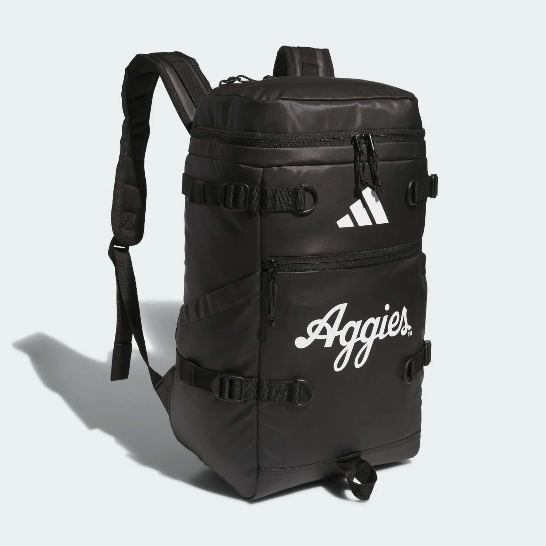 Collegiate Vista Backpack - 1