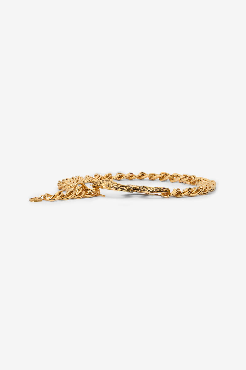 Antique Gold Chain Belt with Snake Detail 1