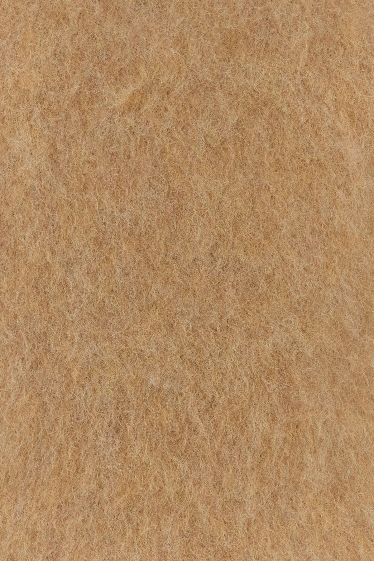 Camel stretch alpaca blend Elgar sweater - 3