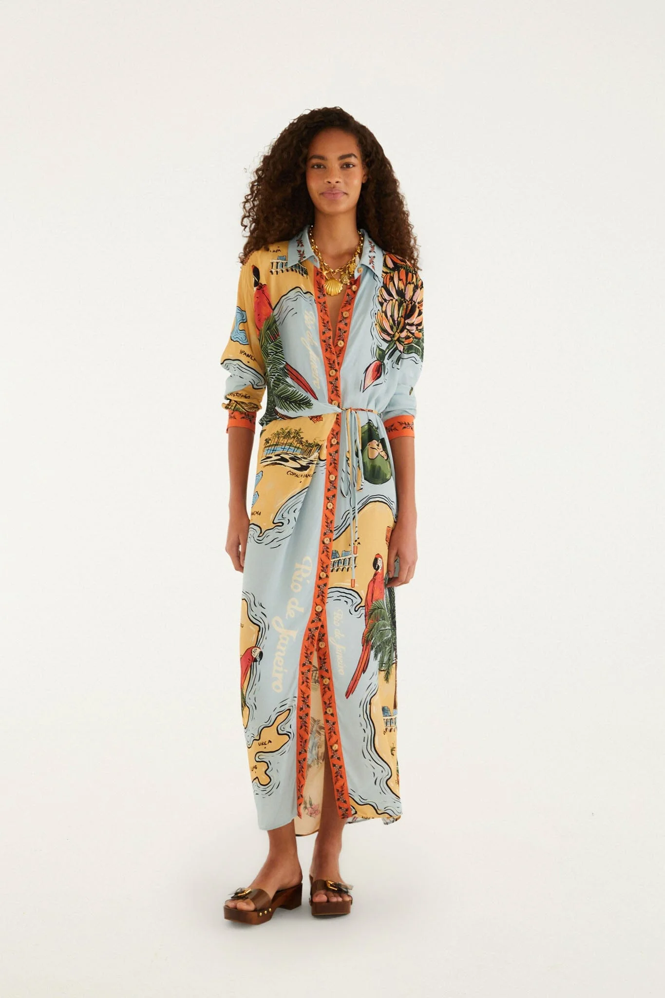 Multicolor Beaches Path Collared Buttoned Maxi Dress - 1