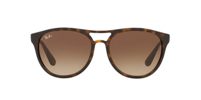 Ray-Ban BRAD outlook