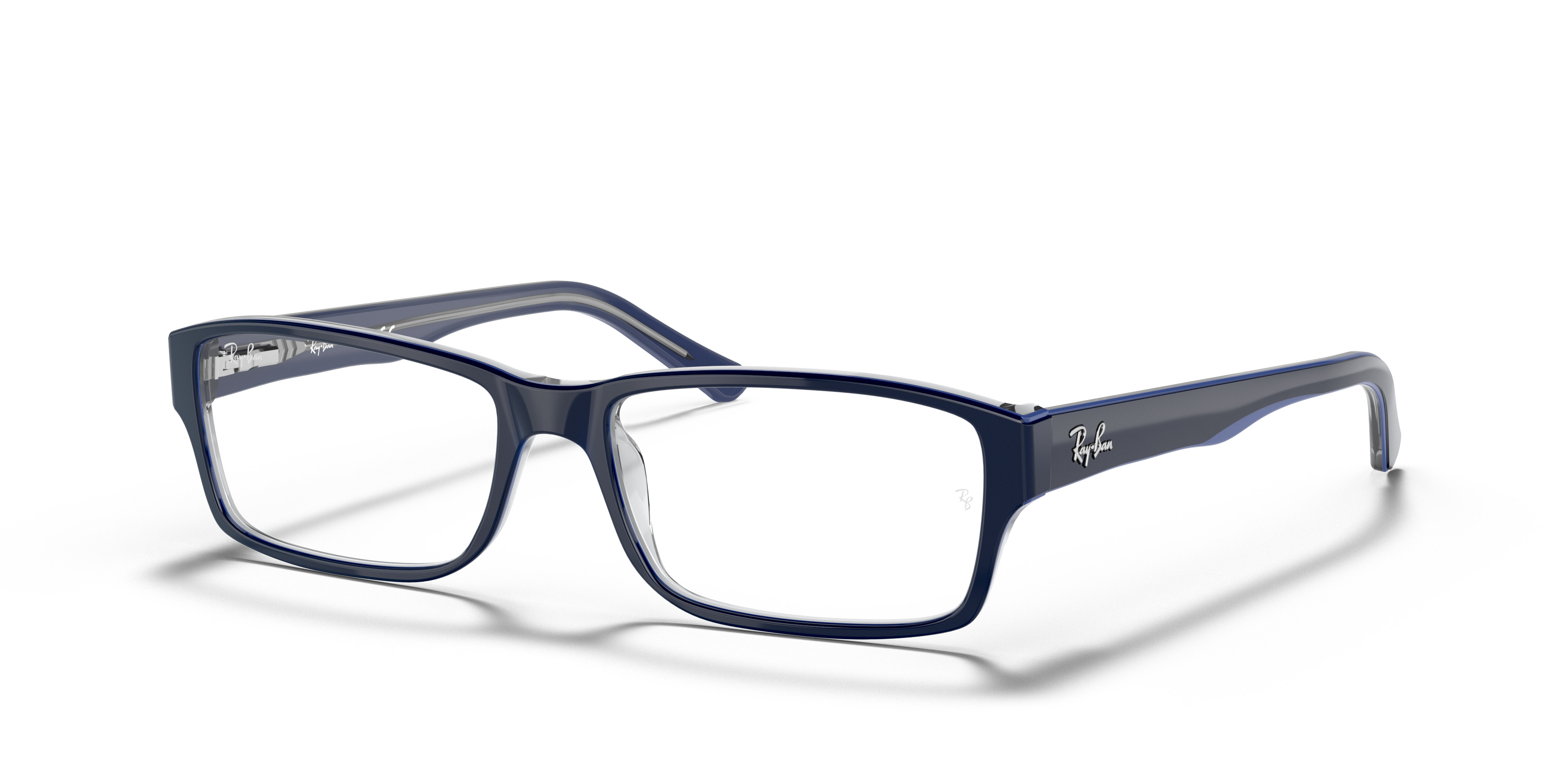 RB5169 OPTICS - 1