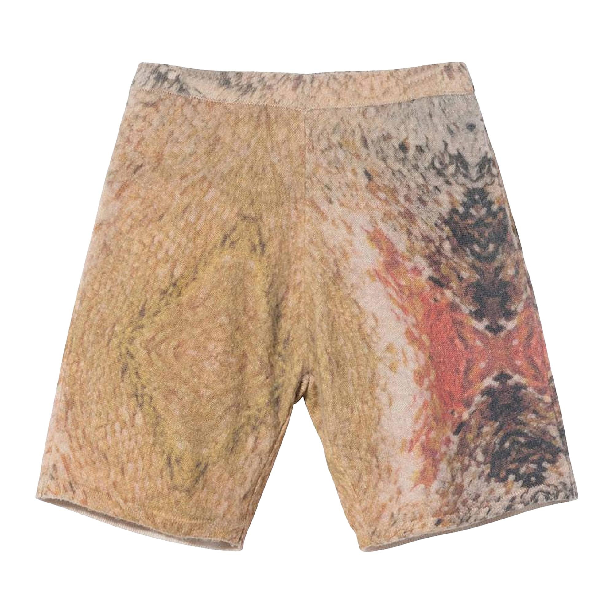 Stussy Wings Print Knit Short 'Multi' - 1