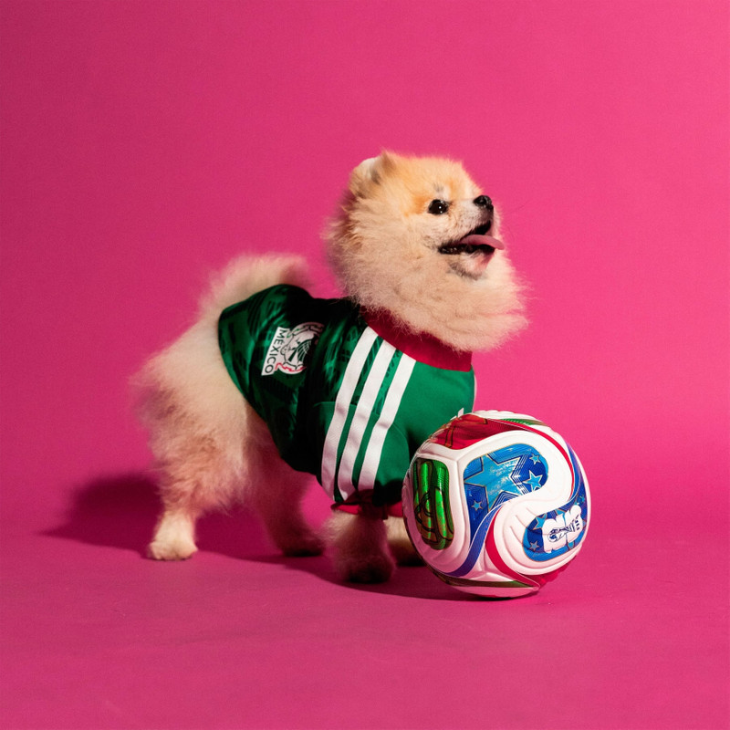 Pet Jersey 26 Mexico 7