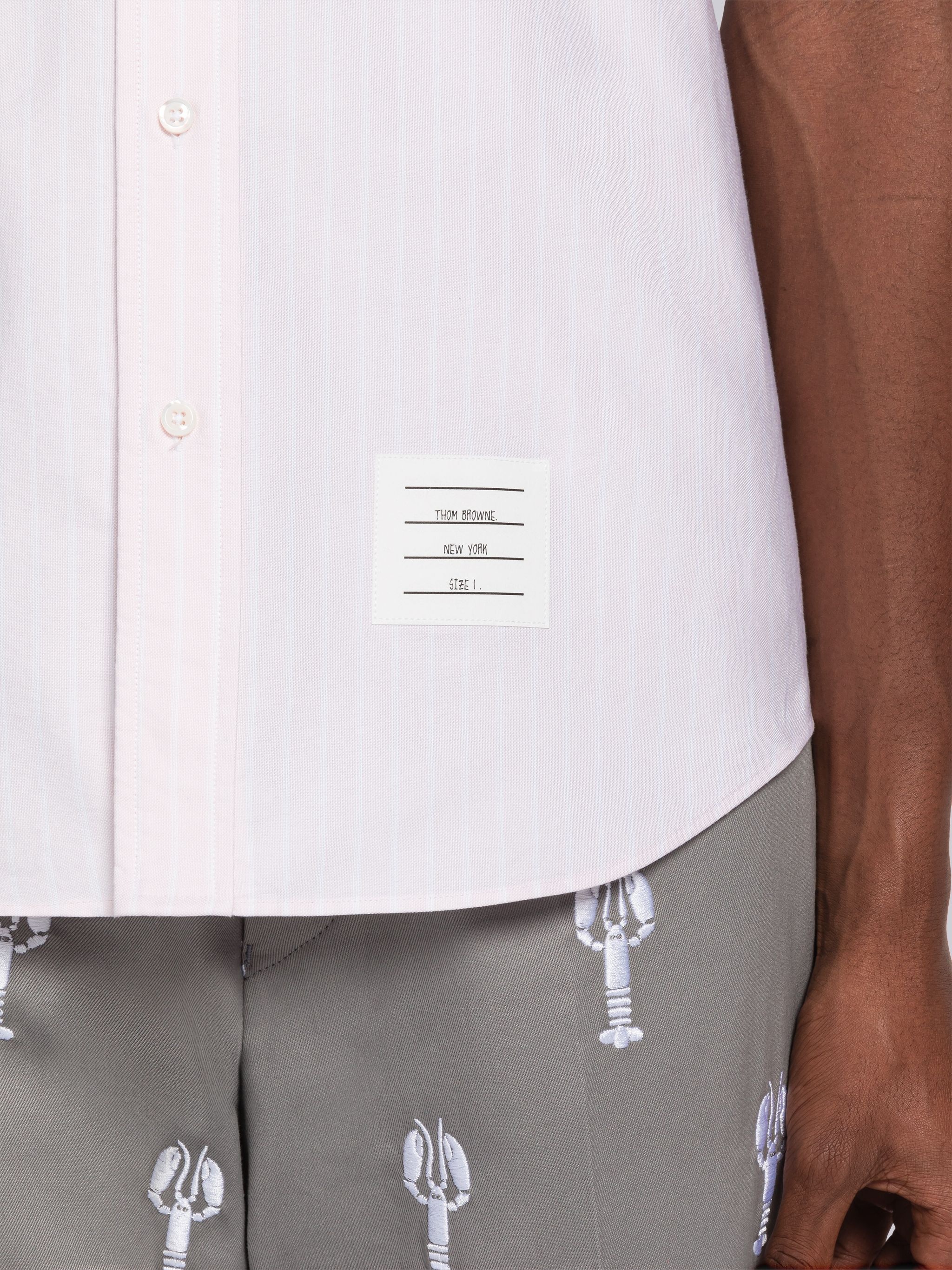 Shadow Pinstripe Oxford Short Sleeve Shirt - 6