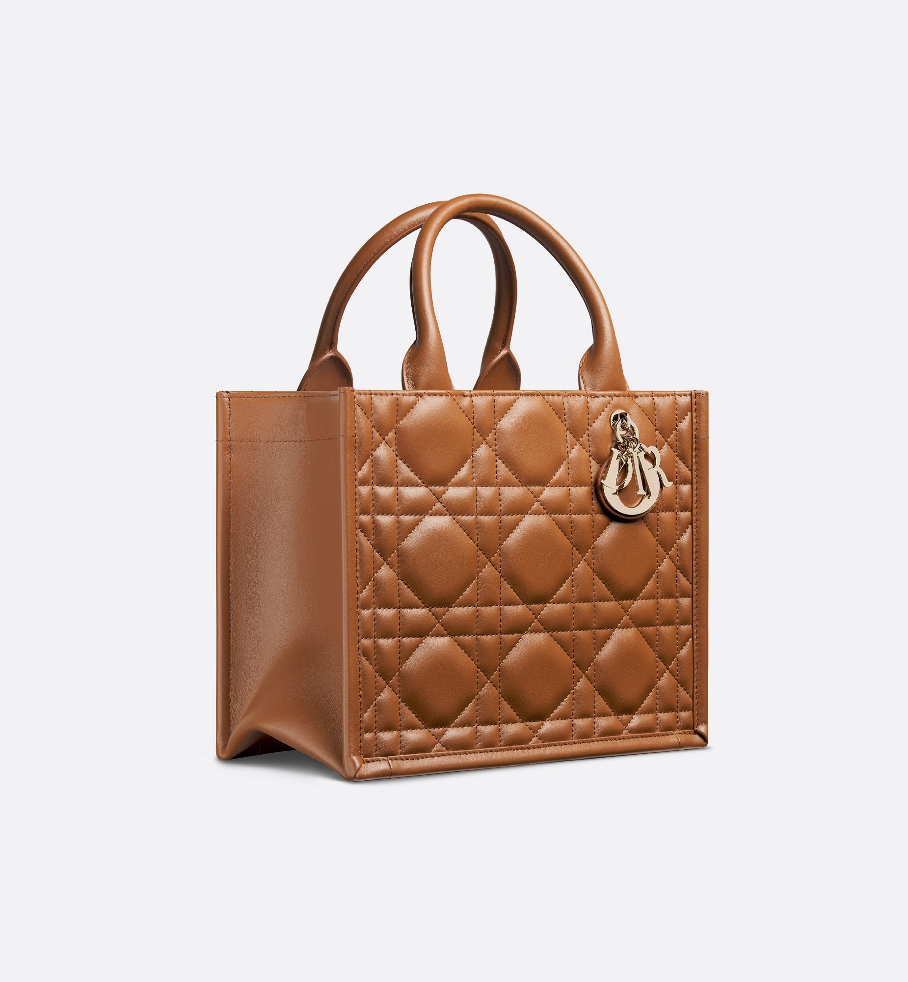 Small Dior Book Tote - 3