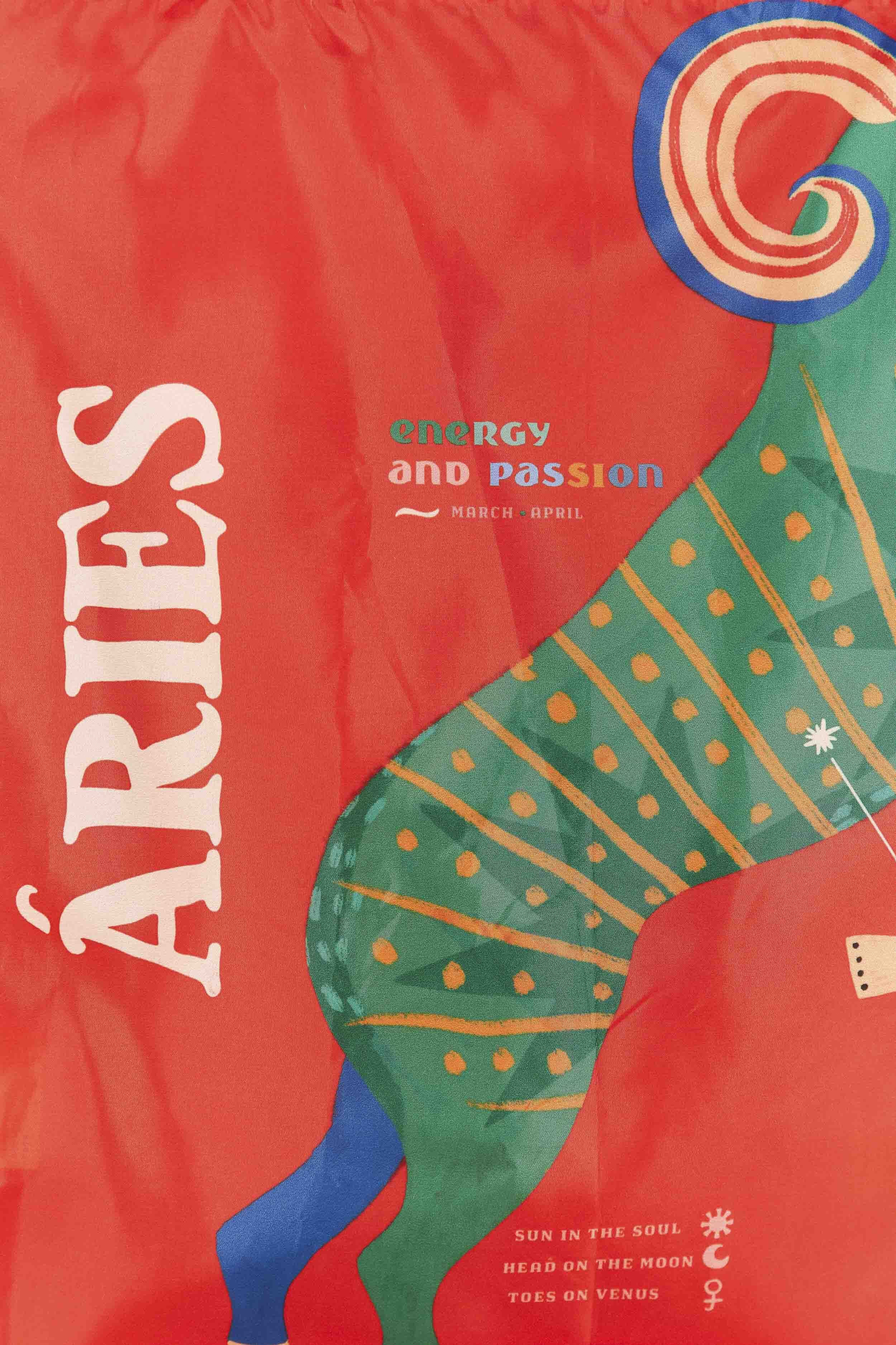Aries Zodiac Ecobag - 5