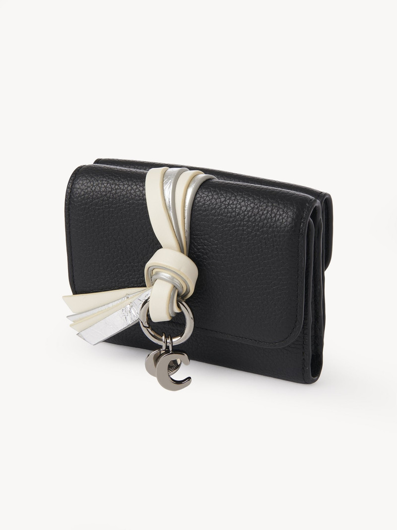 ALPHABET SMALL TRI-FOLD 2