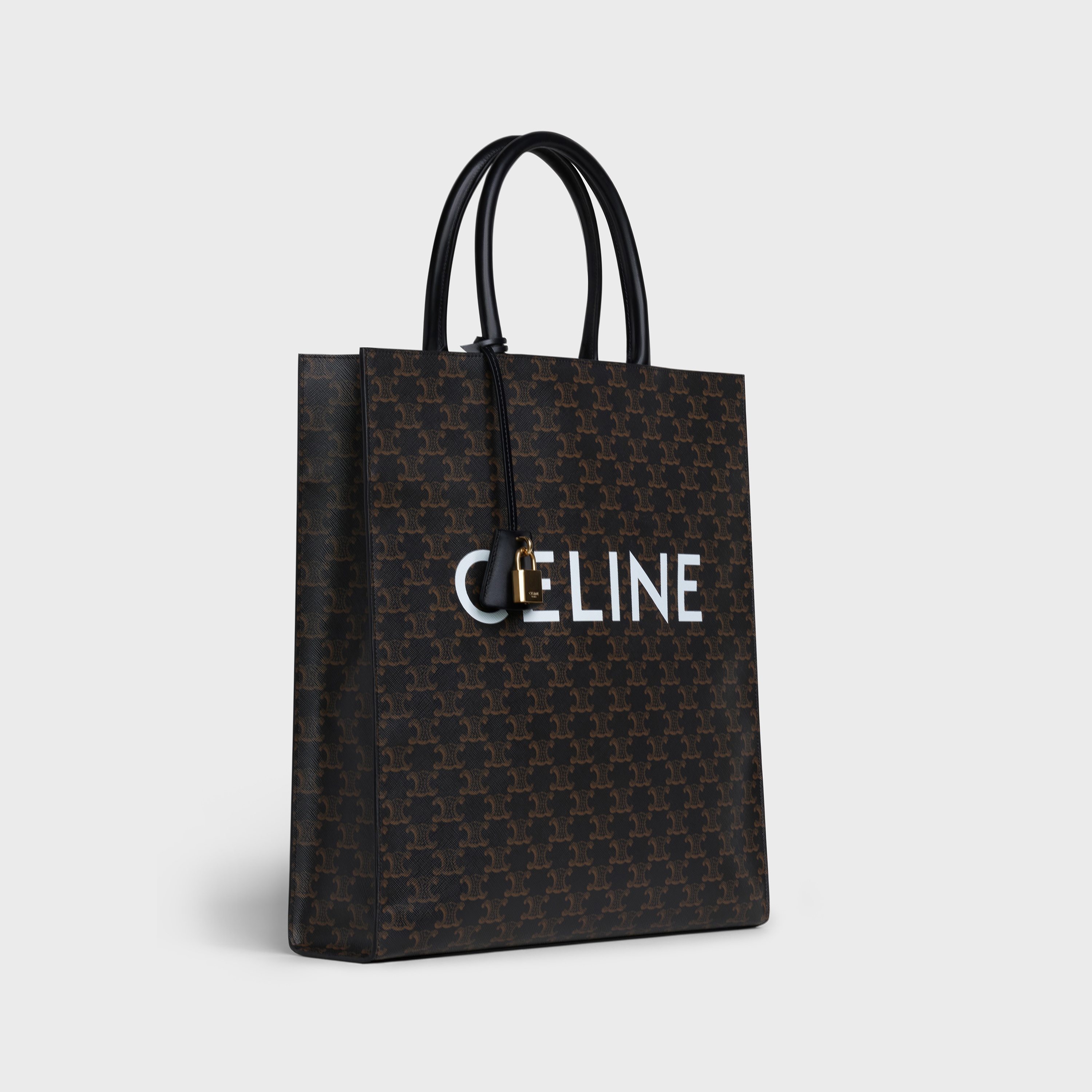 Vertical Cabas Celine in Triomphe canvas and calfskin - 2