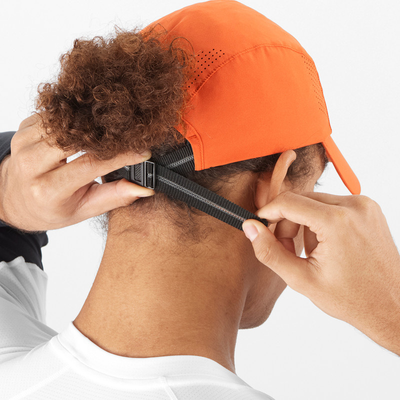 SALOMON CROSS outlook
