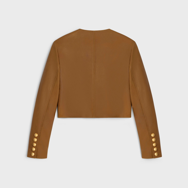 CELINE PURE COLLAR JACKET in patina finish suede outlook