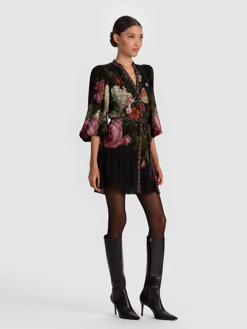 ANTONETTE MINI DRESS 6