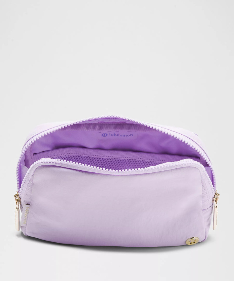 Everywhere Belt Bag Large with Long Strap 2L 5