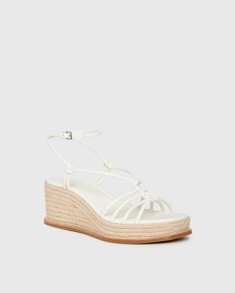PAIGE Julian Wedge outlook
