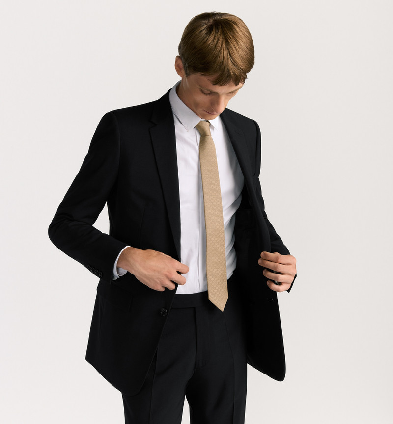 Dior CD Icon Tie outlook