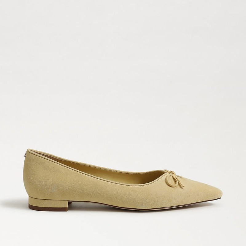 Esmira Pointed Toe Ballet Flat 1