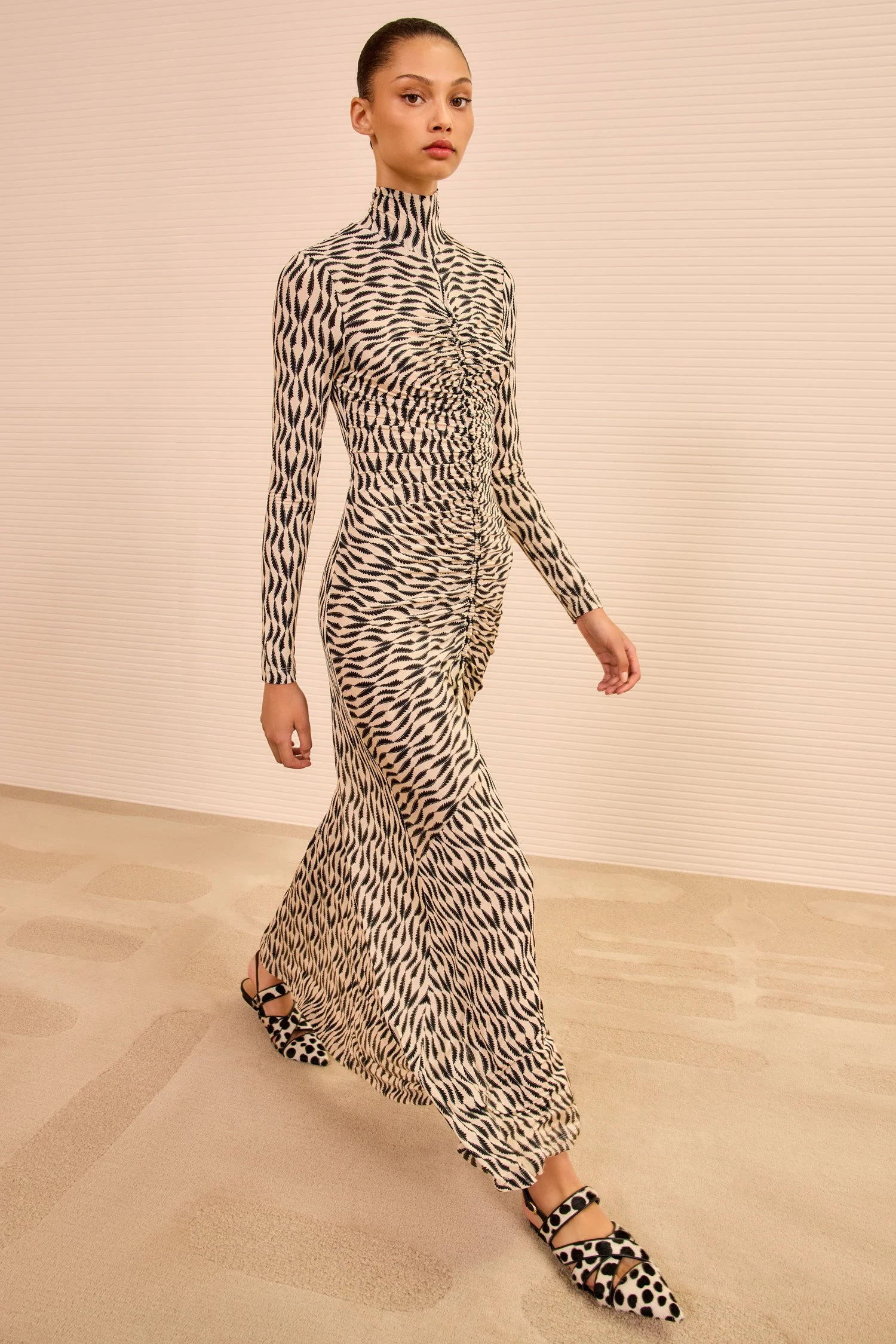 Ida Long Sleeve Ruched Turtleneck Dress - 1