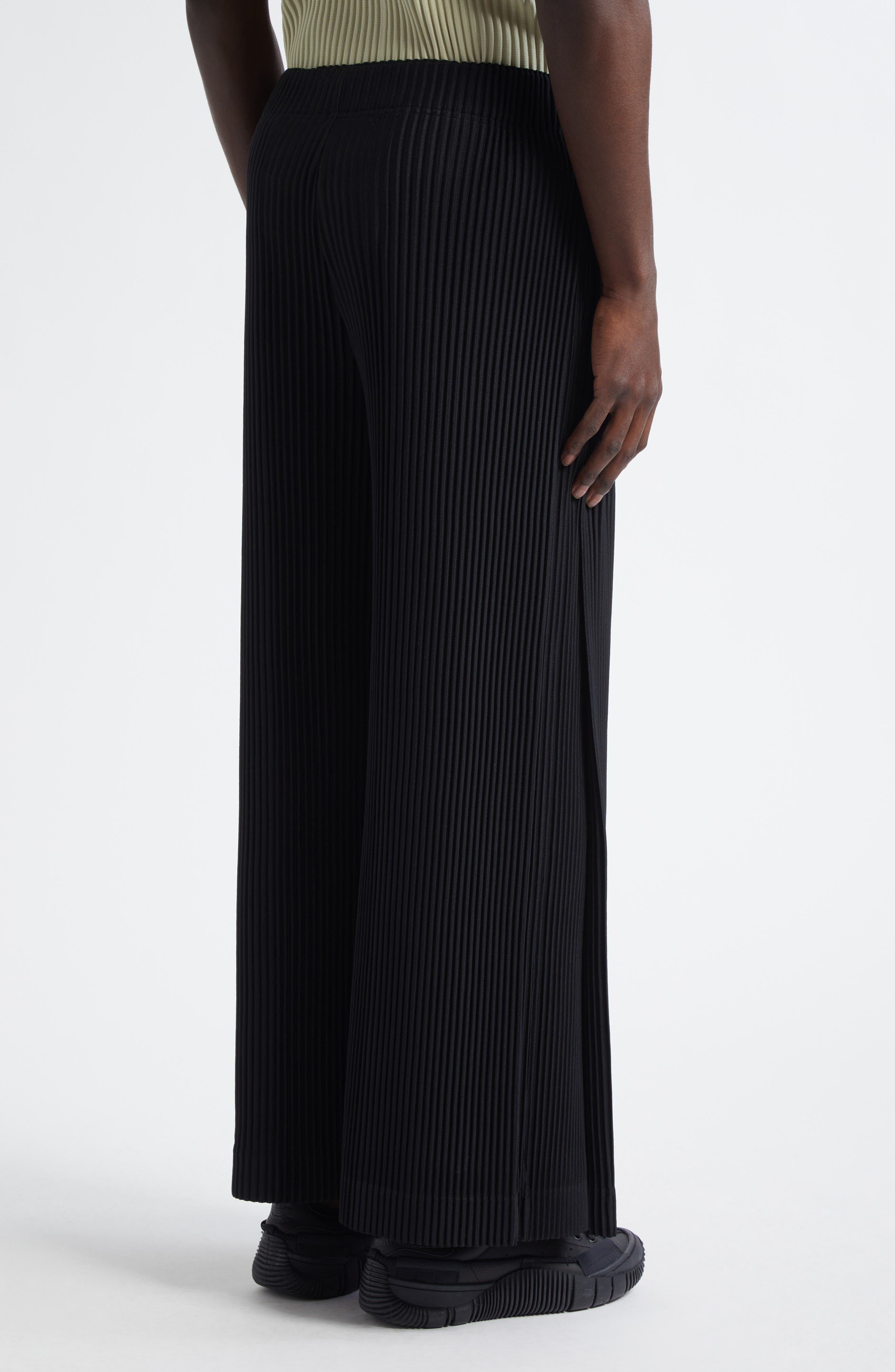 Homme Plissé Issey Miyake Monthly Colors May Pleated Wide Leg Pants in Black at Nordstrom - 3