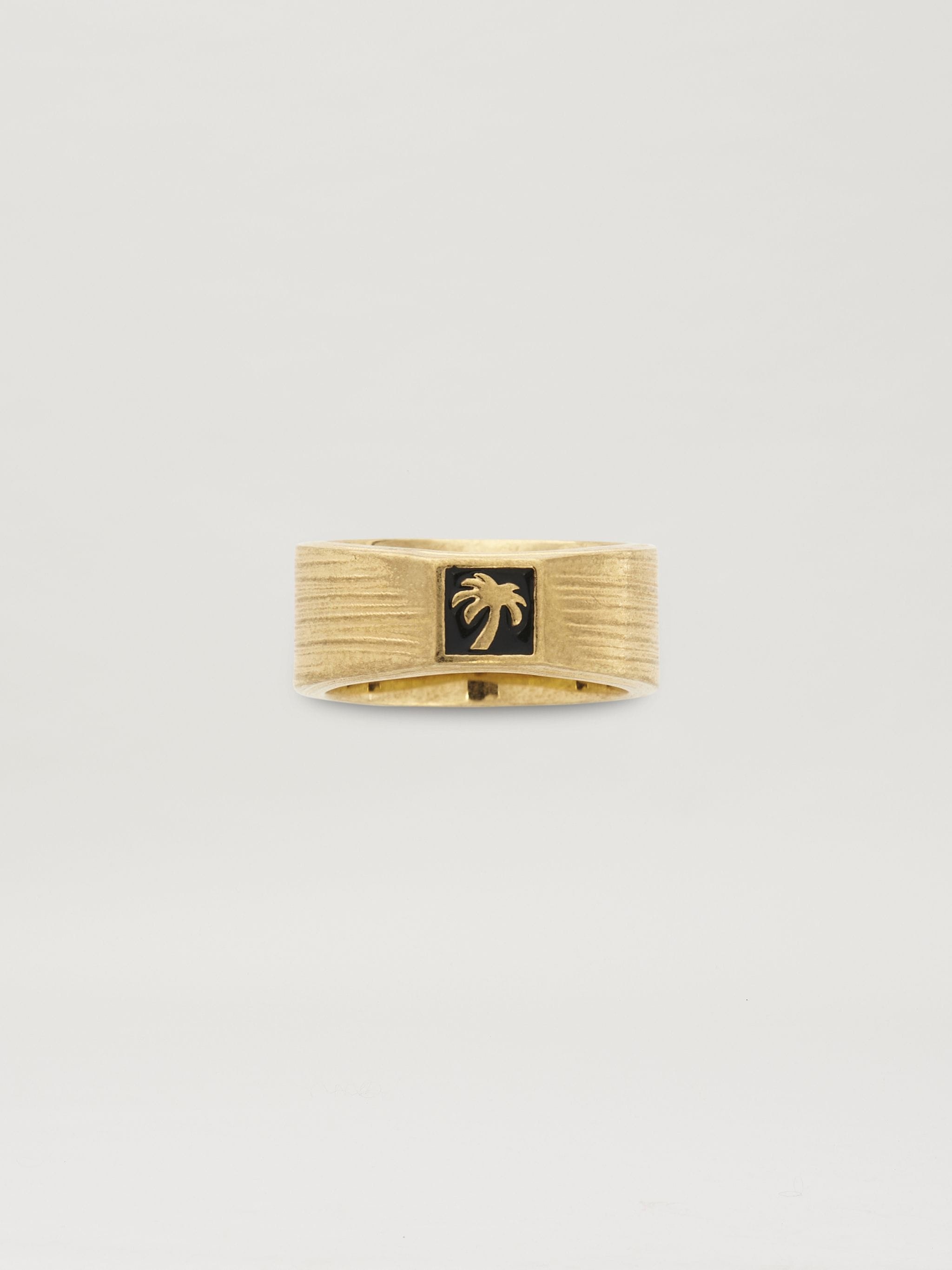 PA Ring - 1