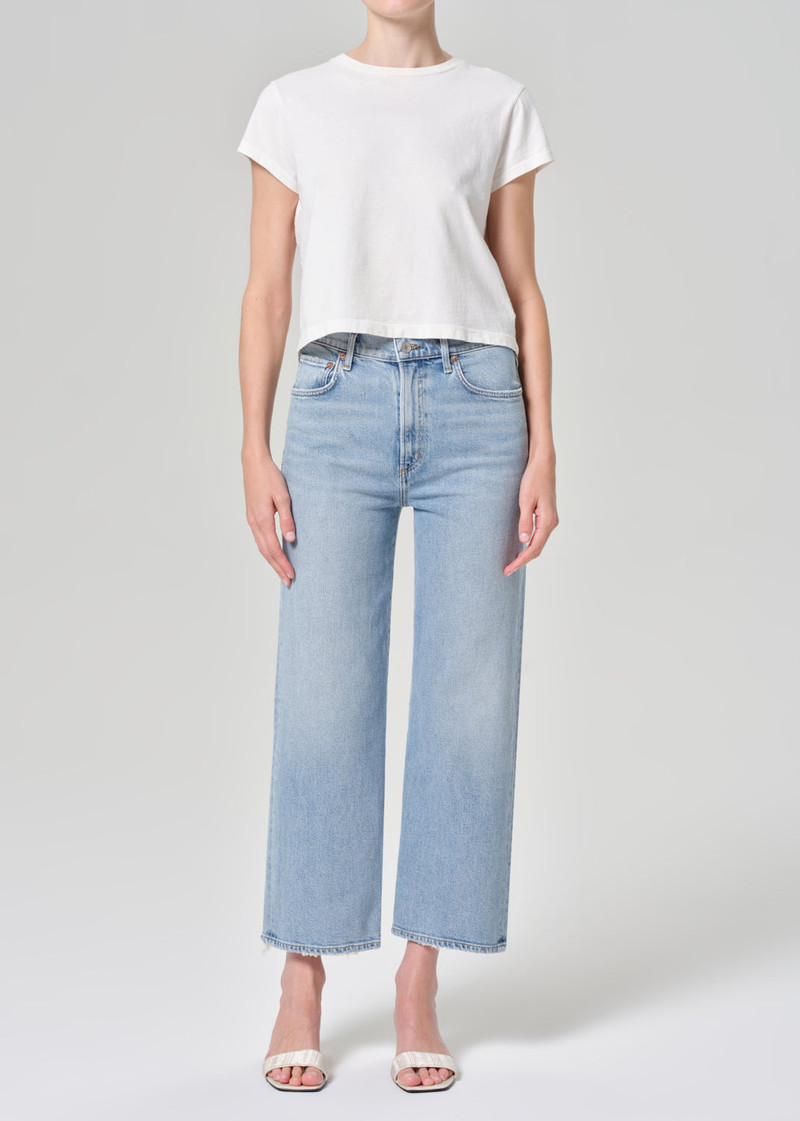 AGOLDE HARPER CROP JEAN IN FORMULA outlook