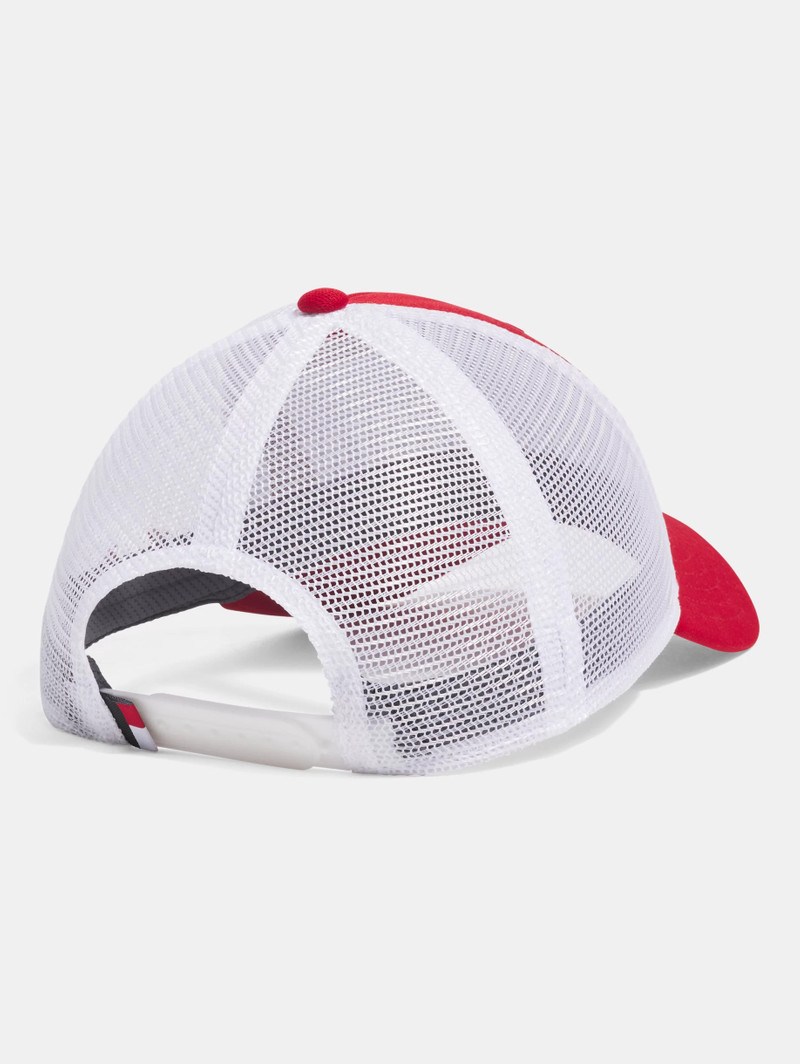 Under Armour Men's UA Blitzing Sideline Collegiate Trucker Snapback Hat outlook