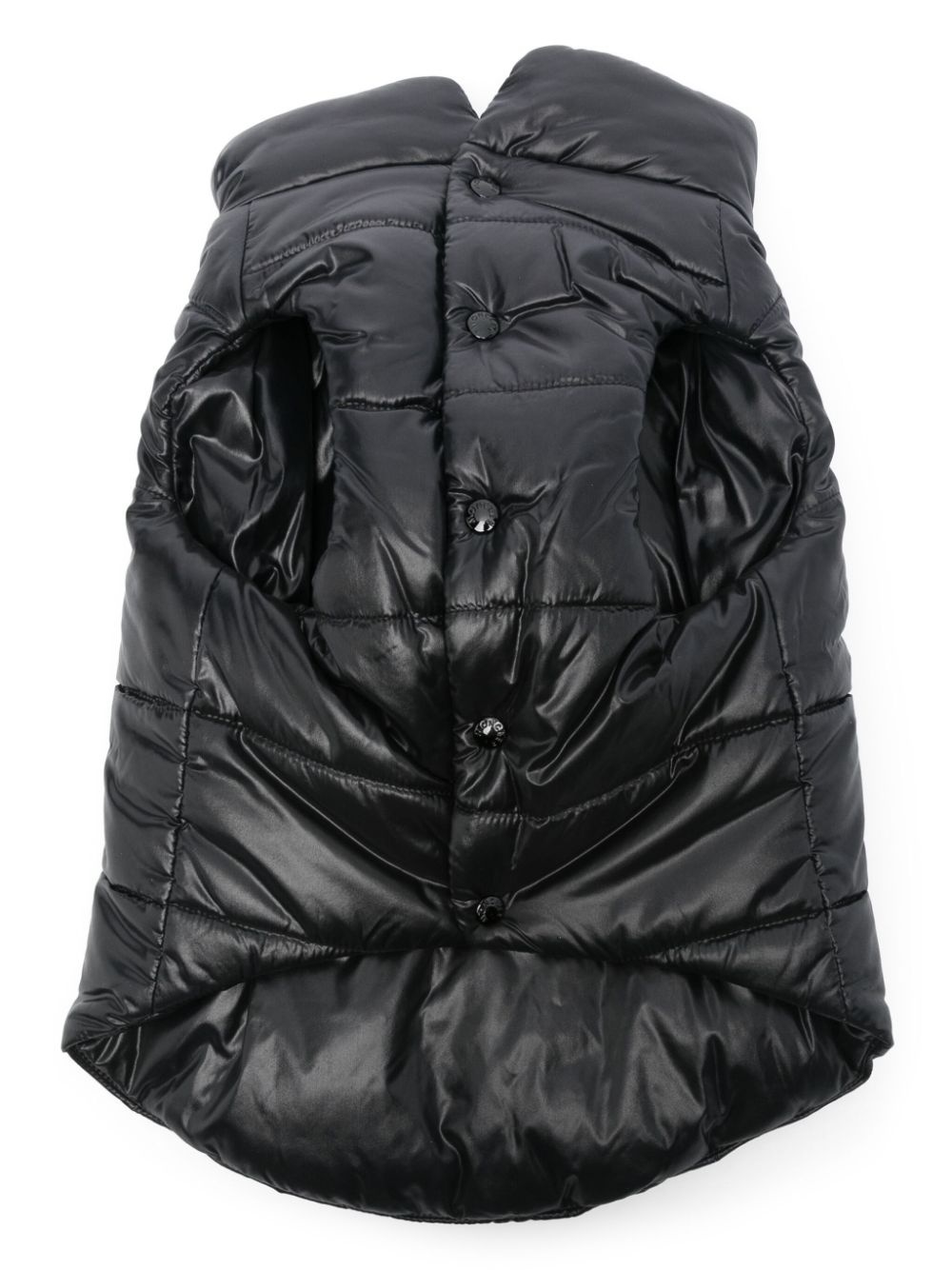 dog vest - 2