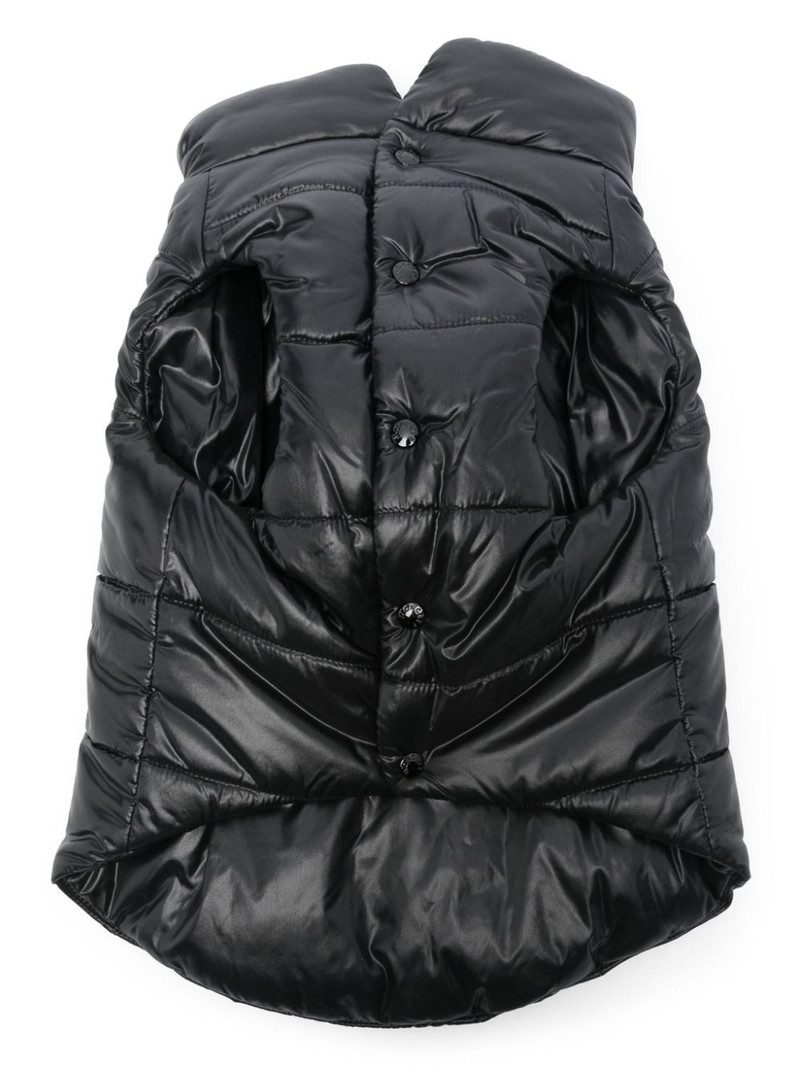 Moncler dog vest outlook