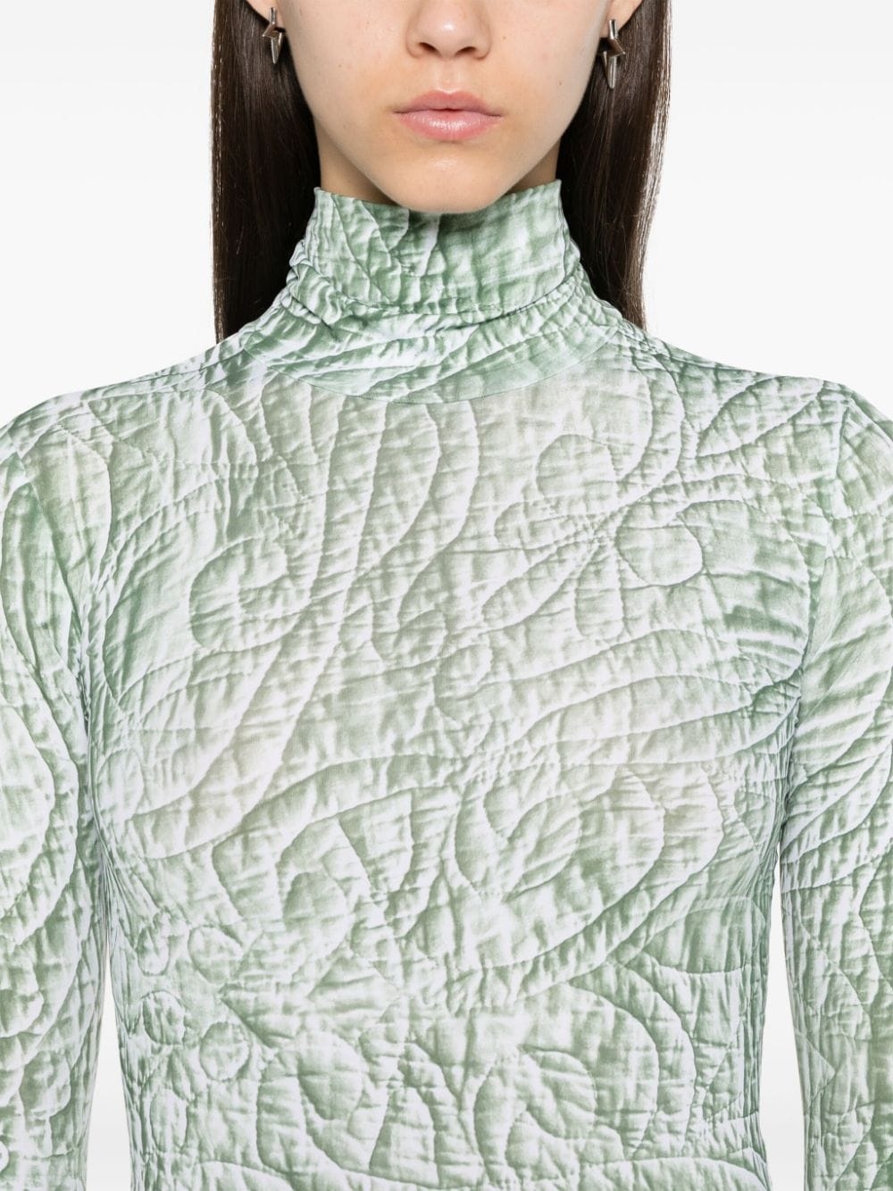 Iguana body - 5