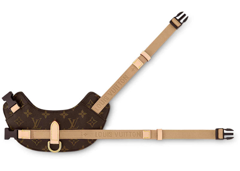 Louis Vuitton Louis Vuitton Harness PM Monogram outlook