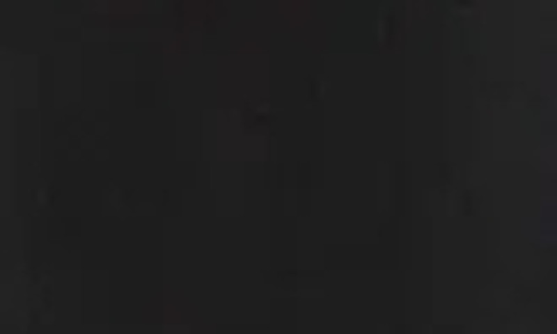 Zip Detail Cotton Pants 8