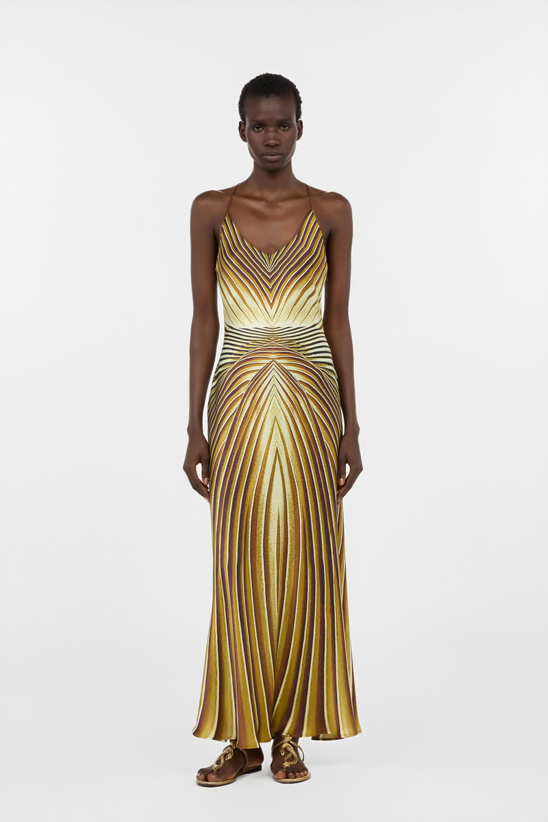 Roberto Cavalli Long Silk Dress with Ray Of Gold Print outlook