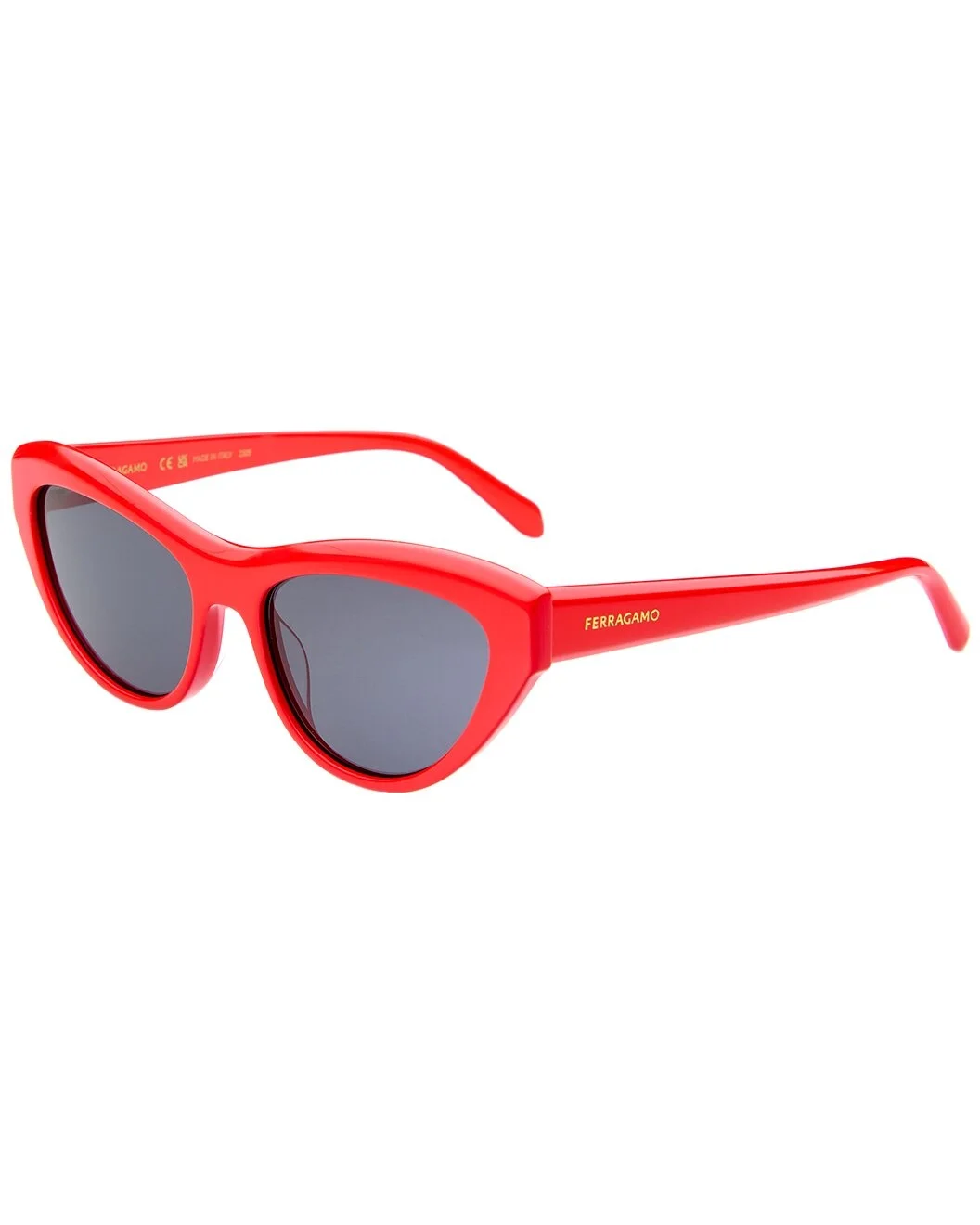 Ferragamo Women's SF1103S 55mm Sunglasses - 1